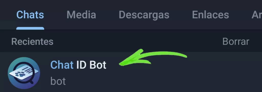 chat id bot