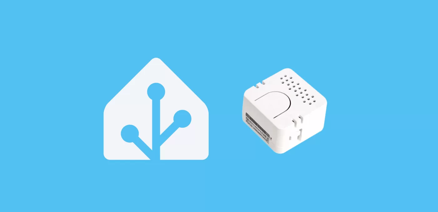 Activar Assist con ATOM Echo