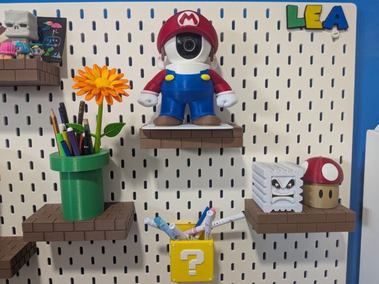 Skin-CAM Mario